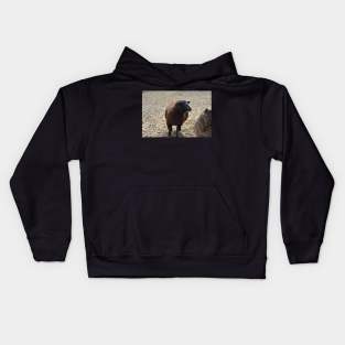 Sheep Kids Hoodie